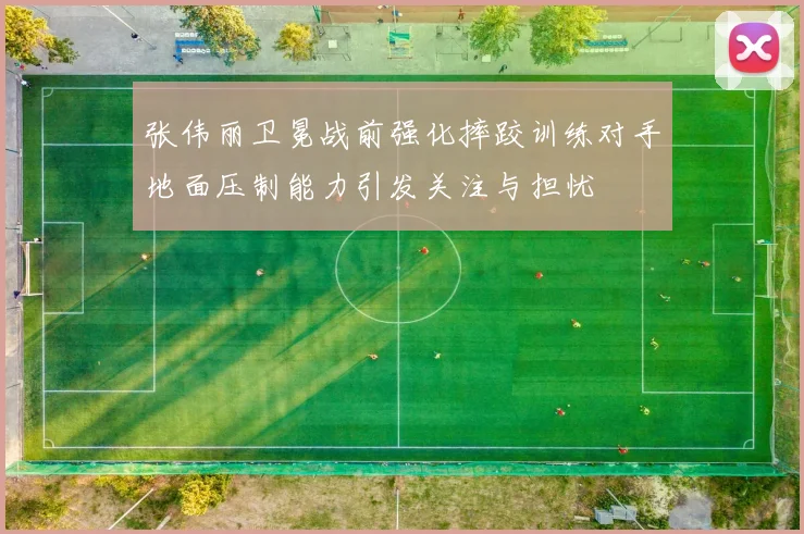 张伟丽卫冕战前强化摔跤训练对手地面压制能力引发关注与担忧